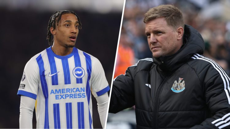 Eddie Howe during the Premier League match between Newcastle United and Ipswich Town. Joao Pedro during the Premier League match between Brighton &...