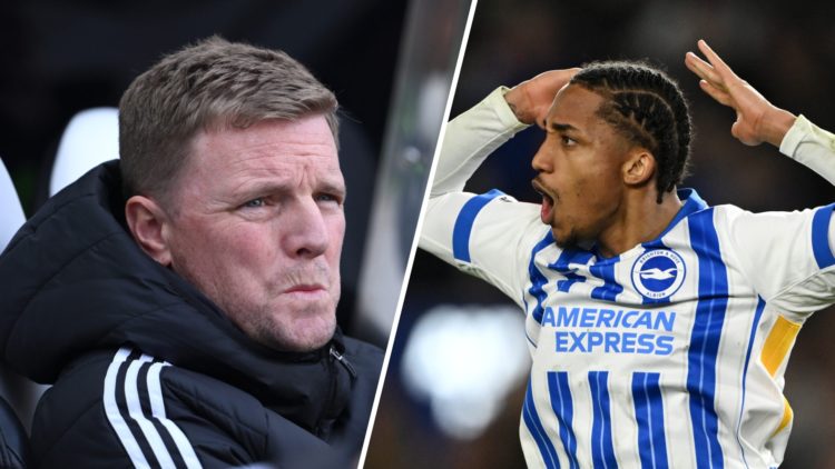 Newcastle United manager Eddie Howe looks on, Joao Pedro celebrates scoring for Brighton