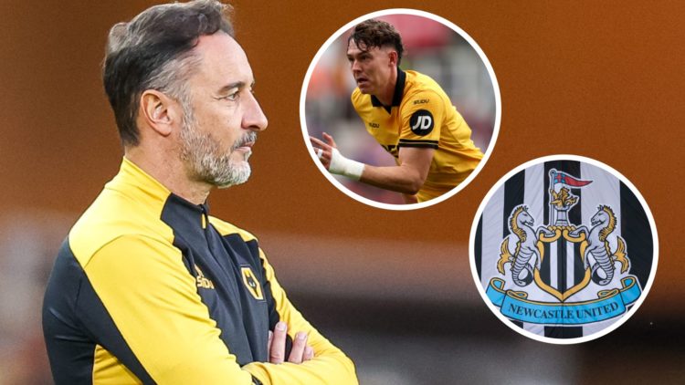 Wolverhampton Wanderers head coach Vitor Pereira on the touchline. Inset 1, Jorgen Strand Larsen. Inset 2, Newcastle United badge.