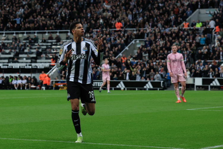Photo by Michelle Mercer/Newcastle United via Getty Images