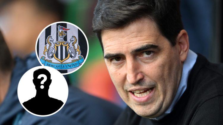 Andoni Iraola looks on before Bournemouth's game against Brighton in the Premier League. Inset: the Newcastle United crest and a mystery player