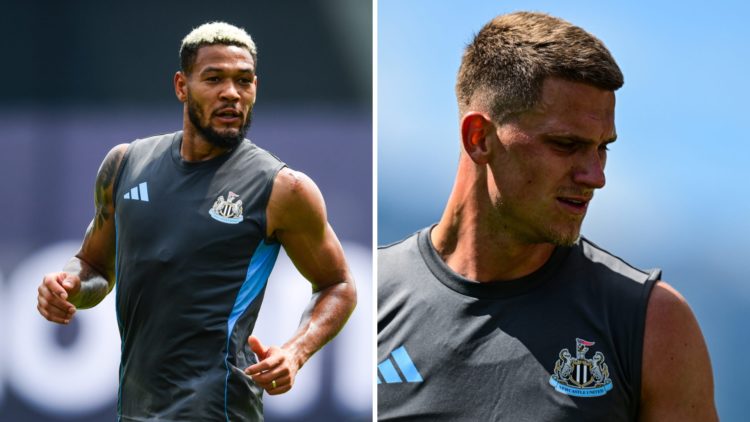 Joelinton in Newcastle United training. Sven Botman.