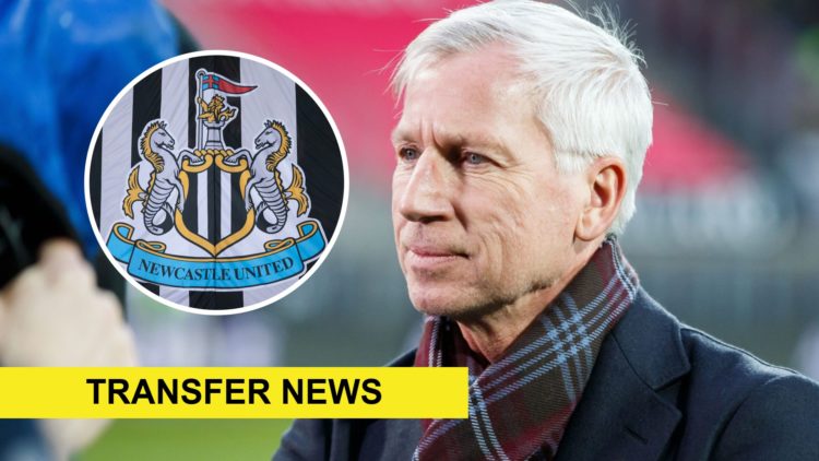 Alan Pardew during an Eredivisie game between AZ Alkmaar and ADO Den Haag. Inset: The Newcastle United badge on a flag and a transfer news banner.
