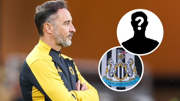 Wolverhampton Wanderers head coach Vitor Pereira on the touchline during a Carabao Cup game against West Ham. Inset: the Newcastle United crest and...