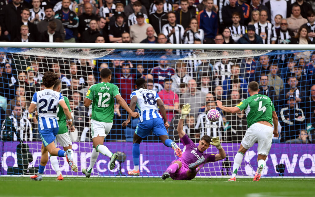Danny Welbeck scores for Brighton against Newcastle United in the Premier League.